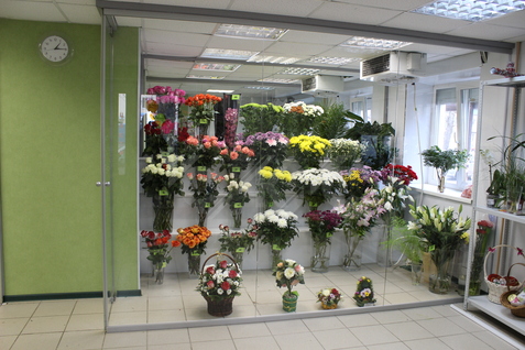 Цельностеклянные перегородки